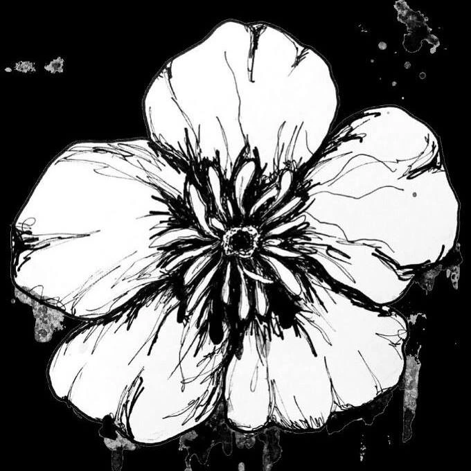 Blumesday