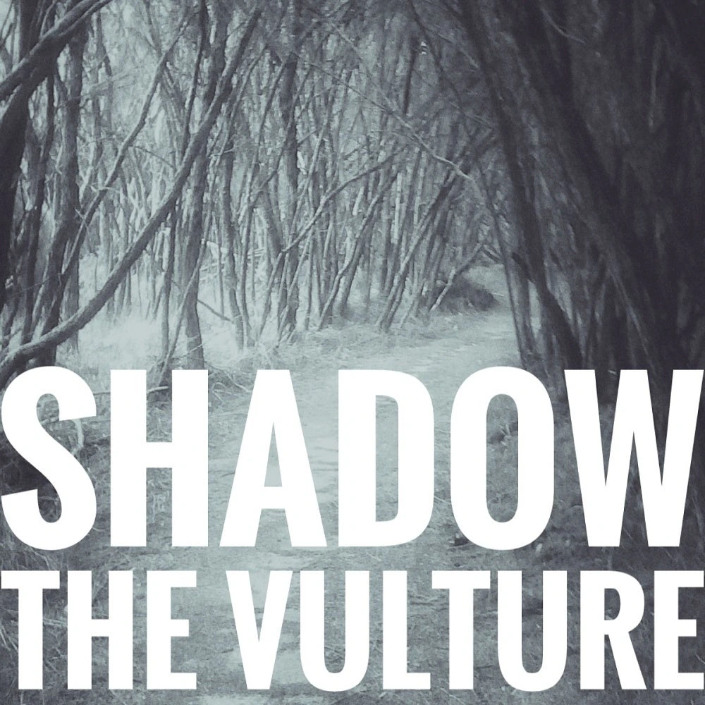 Shadow the Vulture