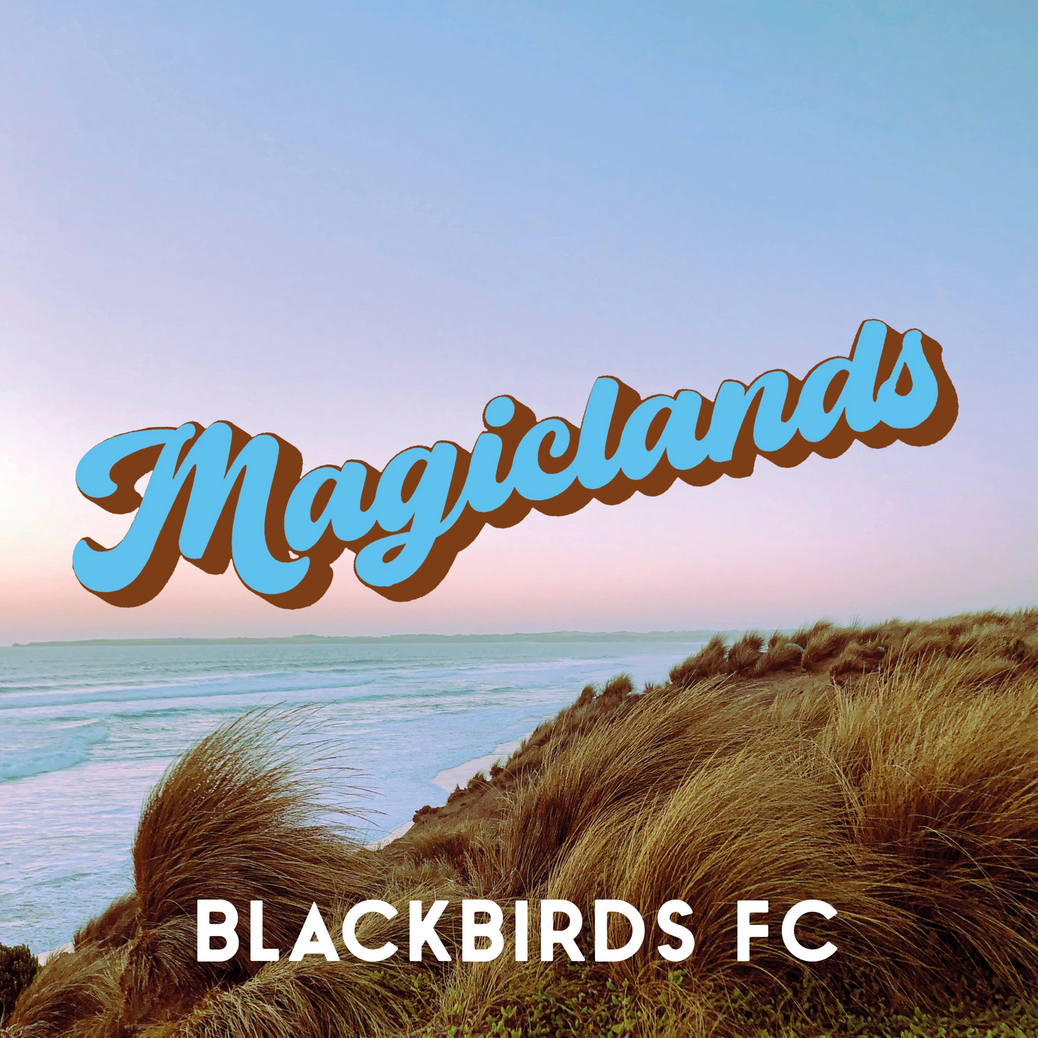 Blackbirds FC