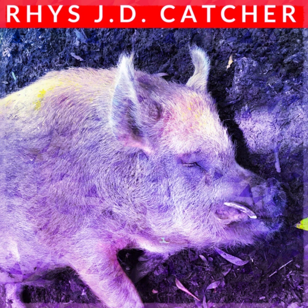Rhys J.D. Catcher