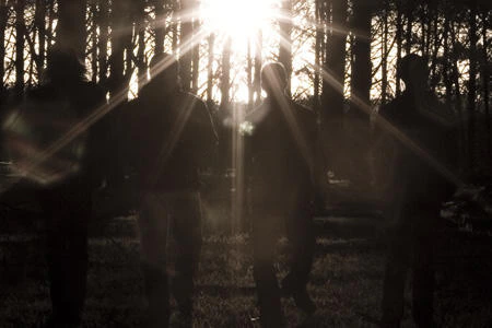 The Dark Woods