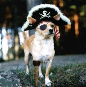 Stowaway Pirates