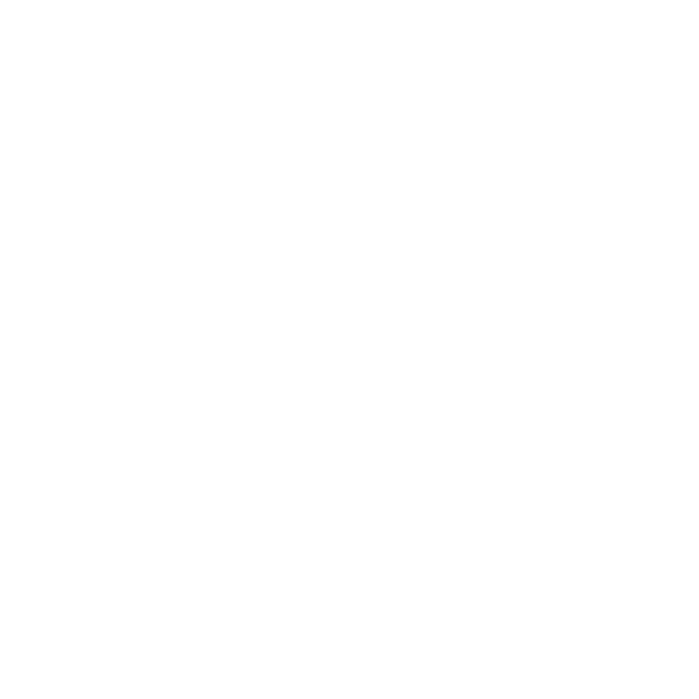 Alchemist