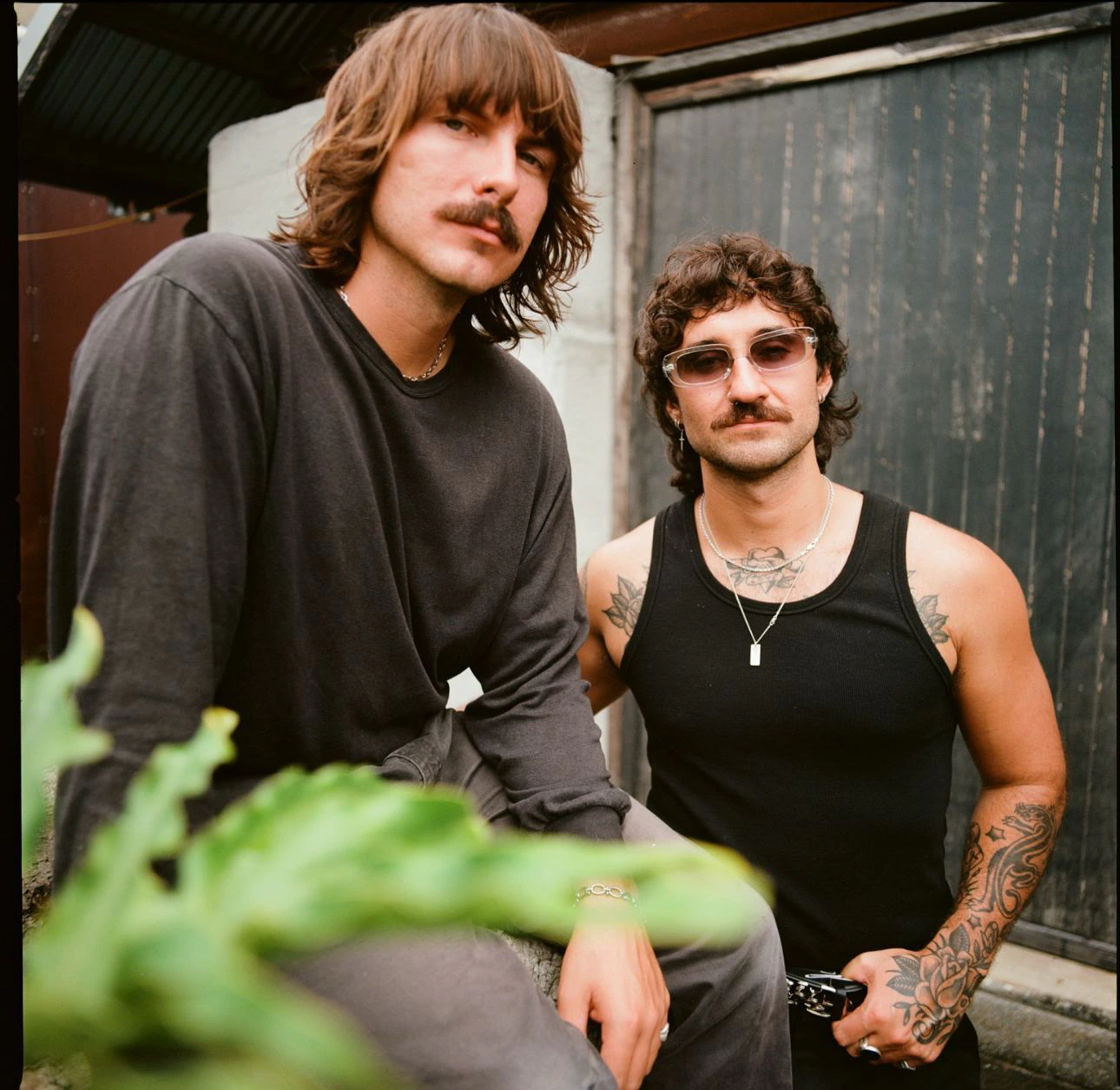 The Dreggs