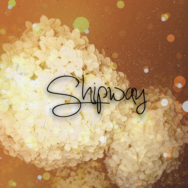 Shipway