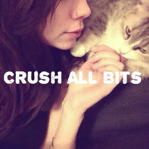 CrushAllBits