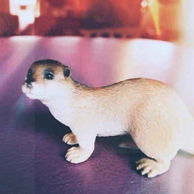 Lutra Lutra