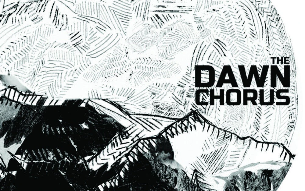 The Dawn Chorus