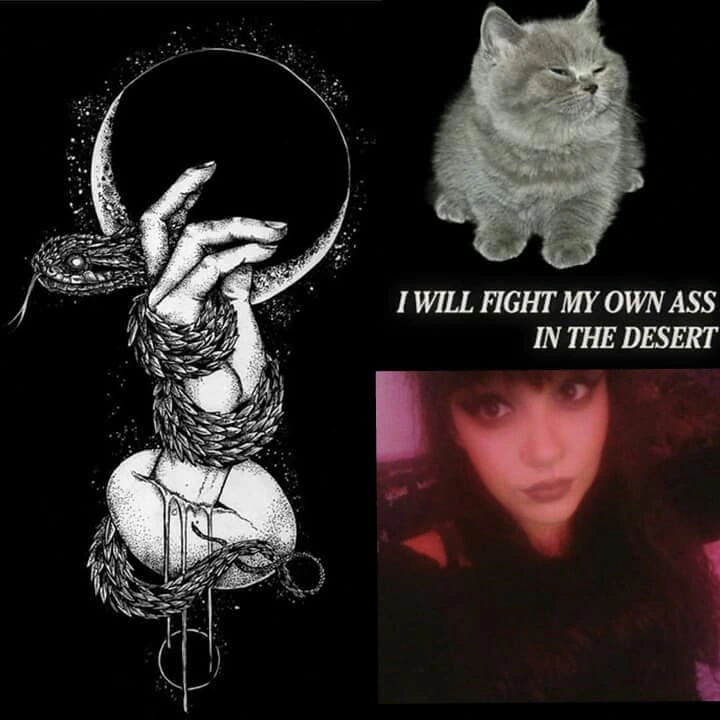 Bridg Midheaven and The Kingsnakes