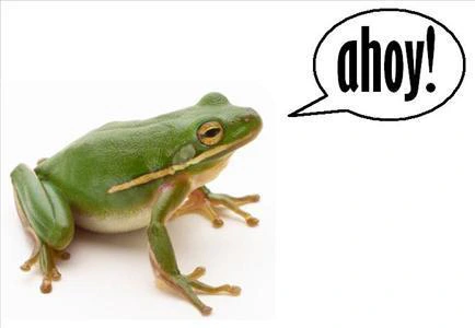 Euphoric Frogs
