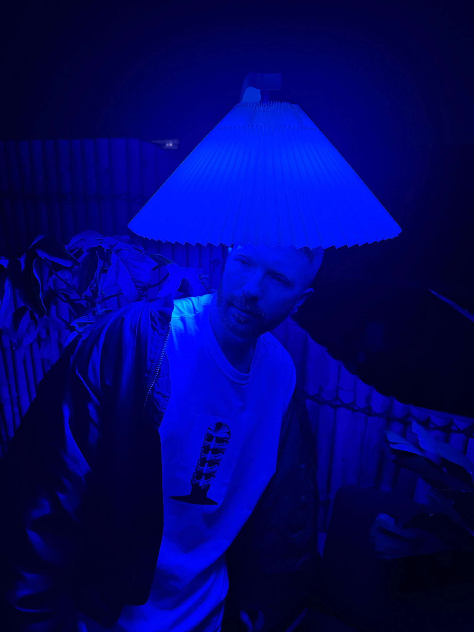 Finn Irregular