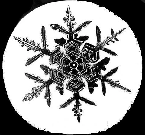 *SNOWFLAKE*