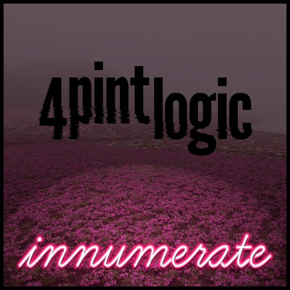 innumerate
