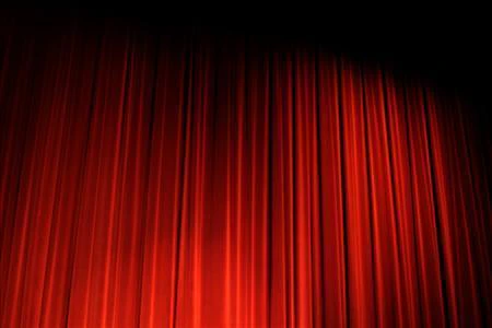 The Director's Cult