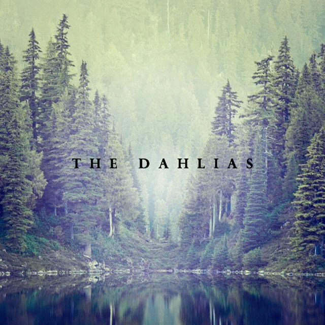 The Dahlias