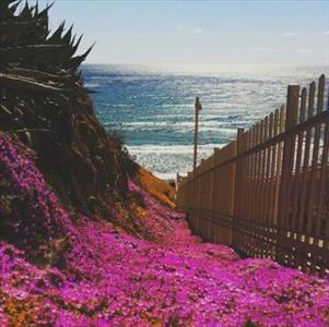 Coastline