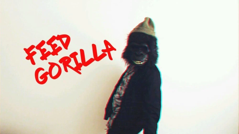 Feed Gorilla
