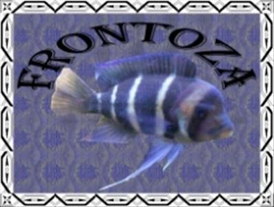 Frontoza