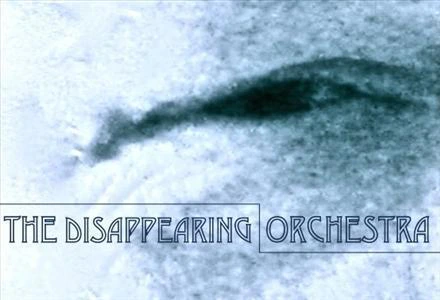 The Disappearing Orchestra