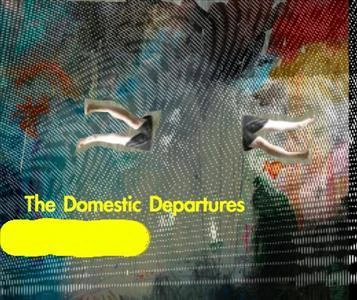 The Domestic Departures