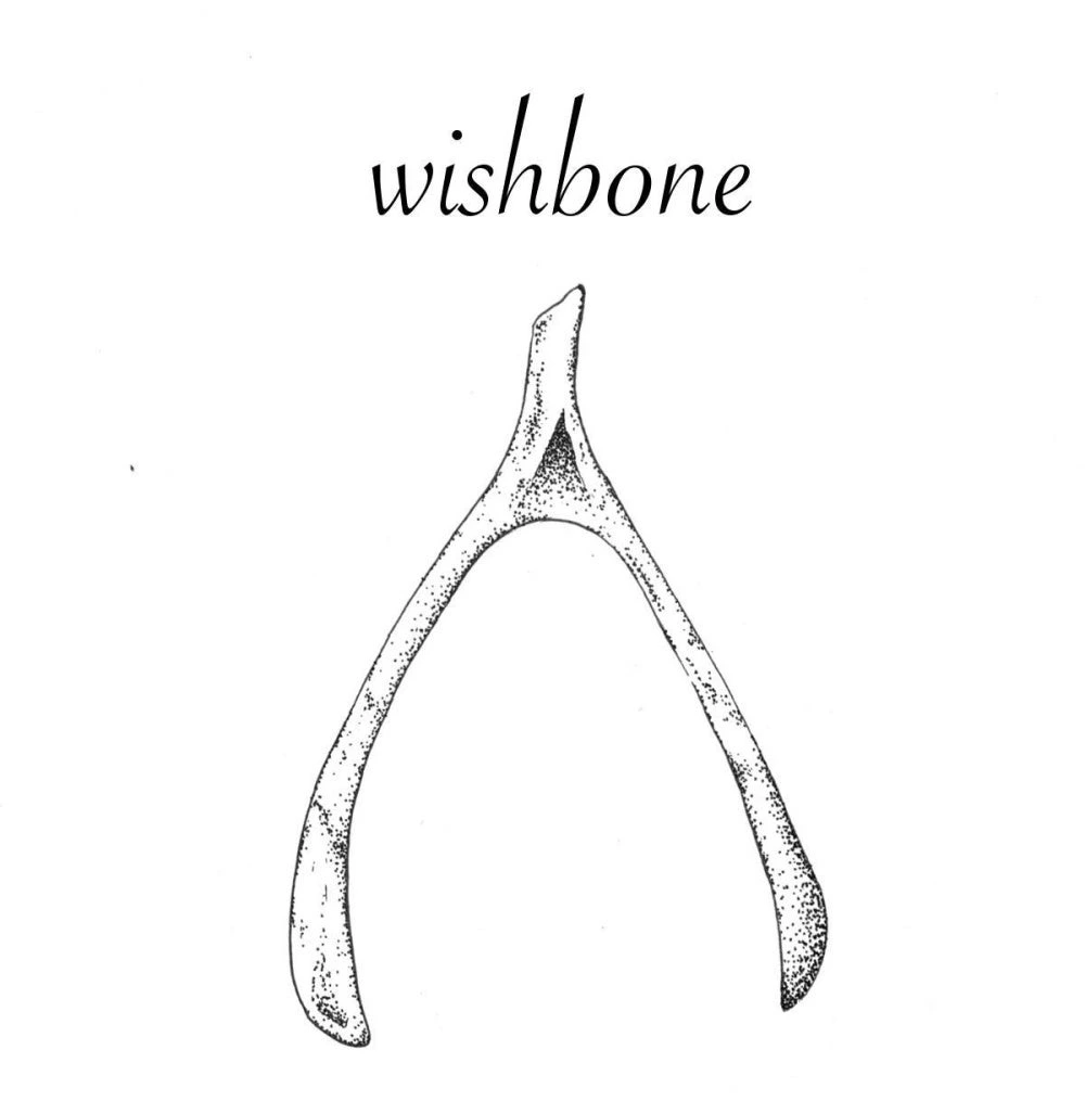 Wishbone