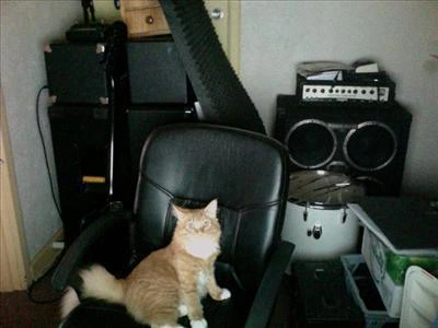 strangelet