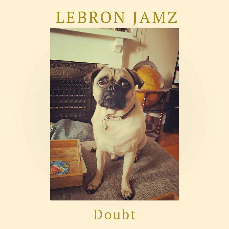 LeBron Jamz