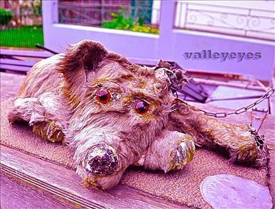 valley eyes