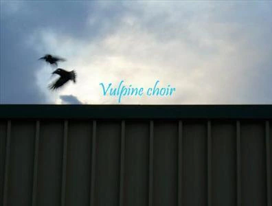 Vulpine Choir