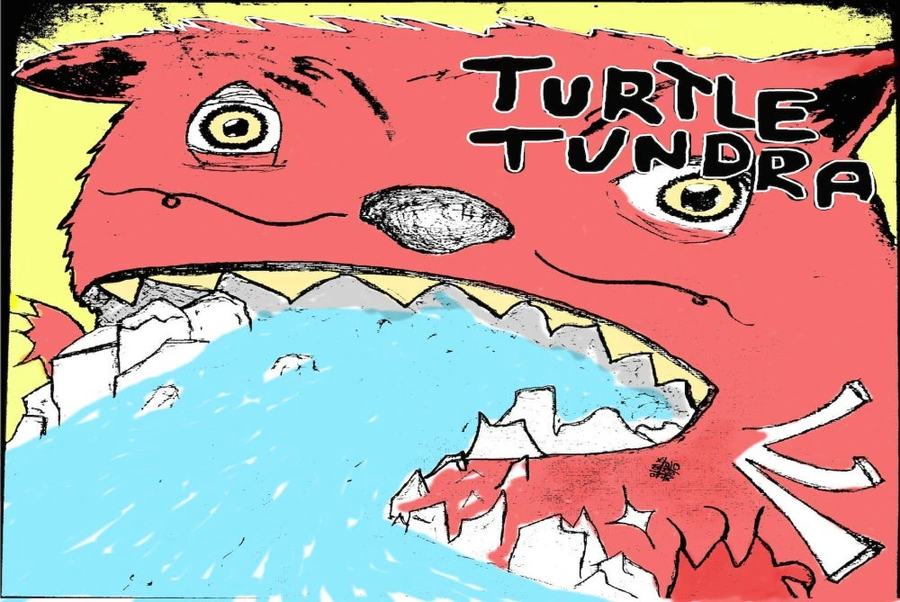 Turtle Tundra