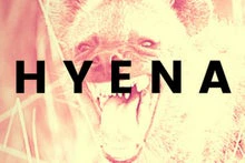 hyena