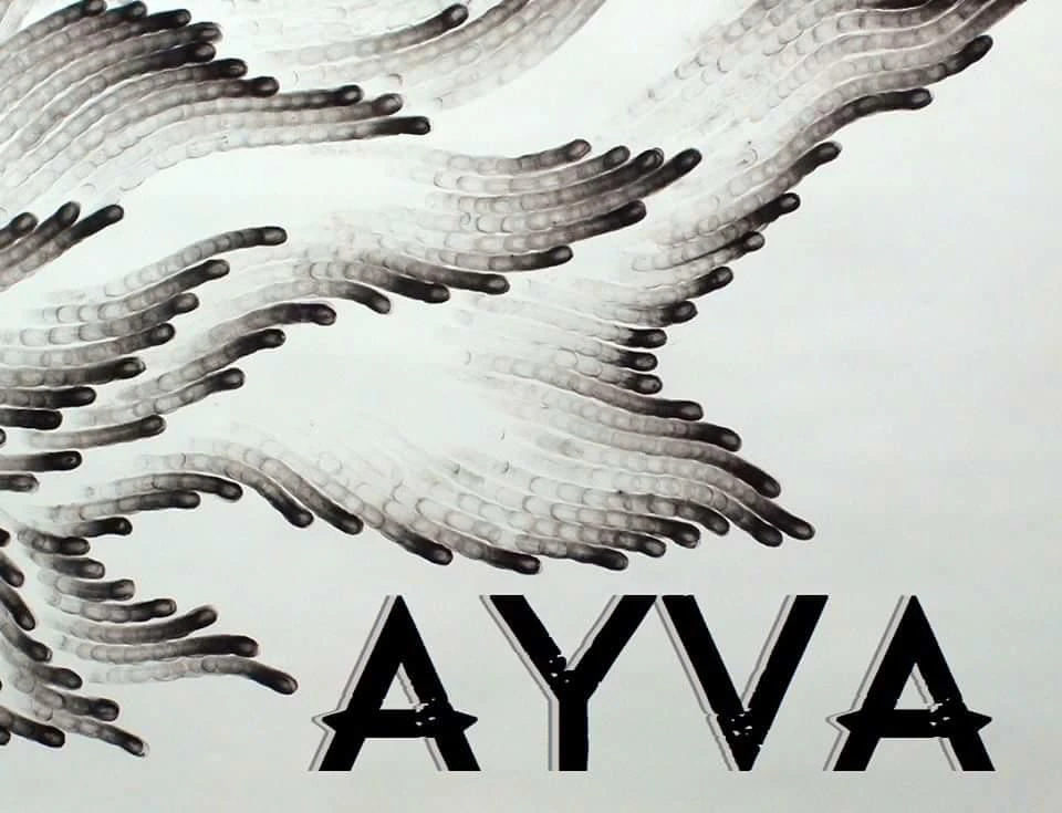 AYVA