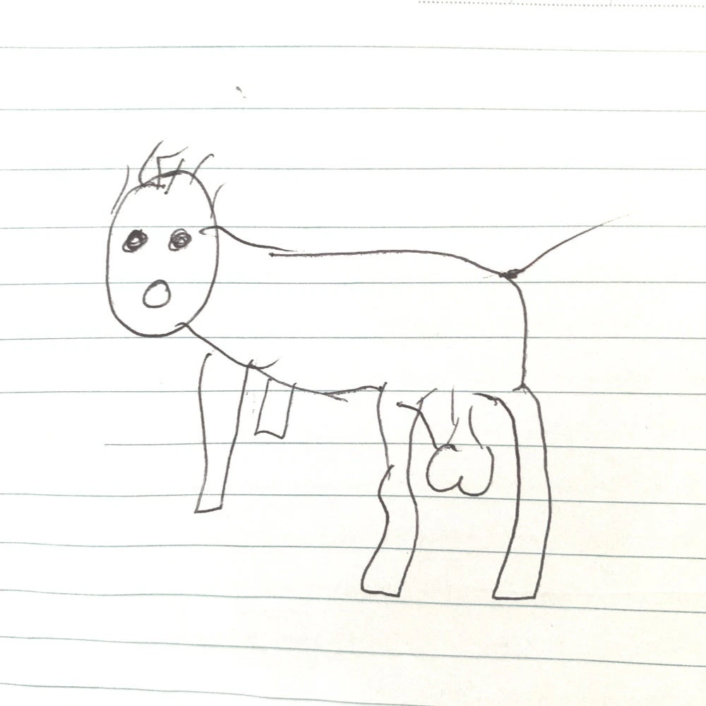 The dog