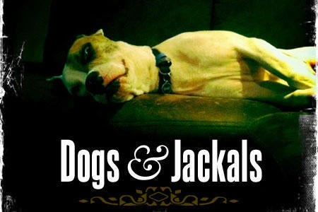 Dogs & Jackals