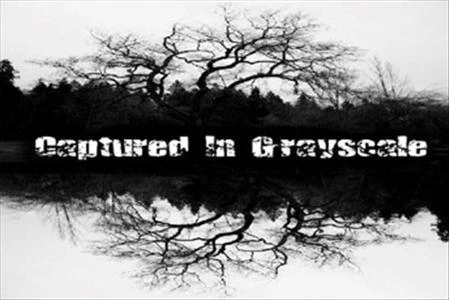 Captured In Grayscale