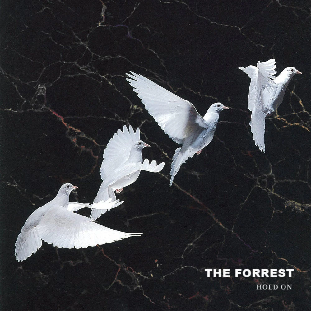 The Forest