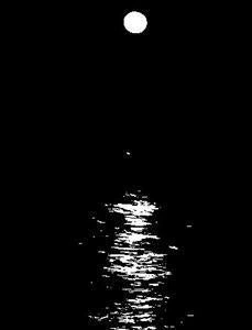 Stars to Shores