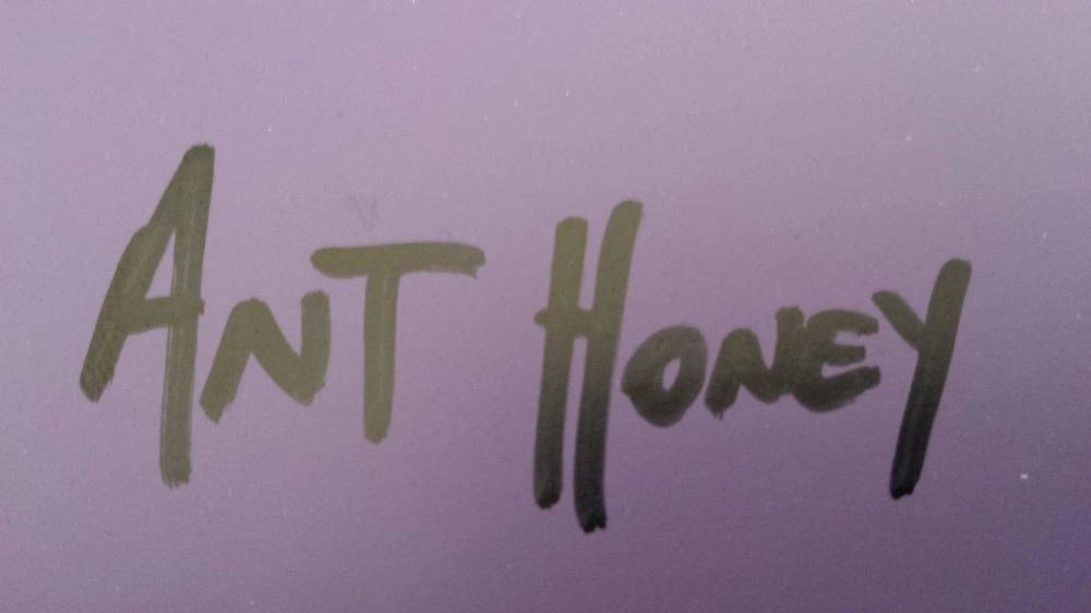Ant Honey