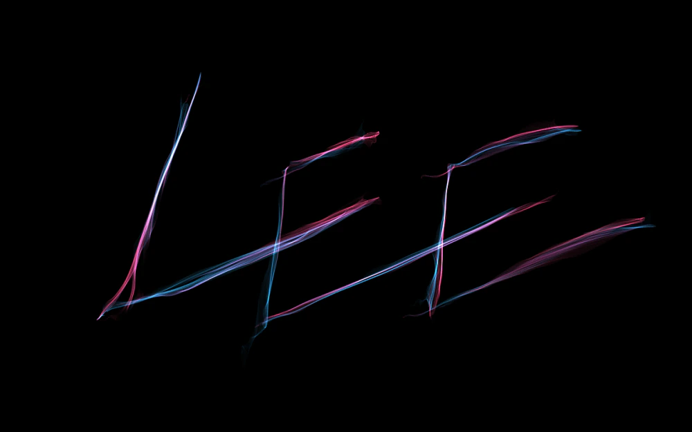 L.E.E
