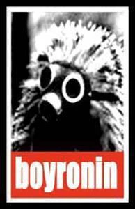 Boyronin