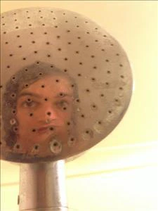 Zander Gecko