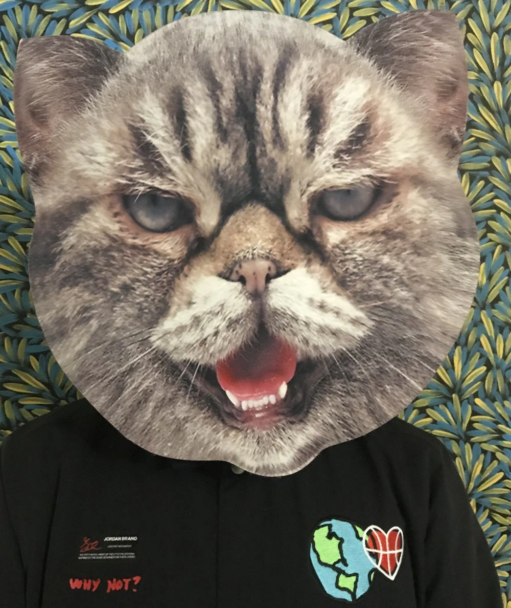 J-ENZ