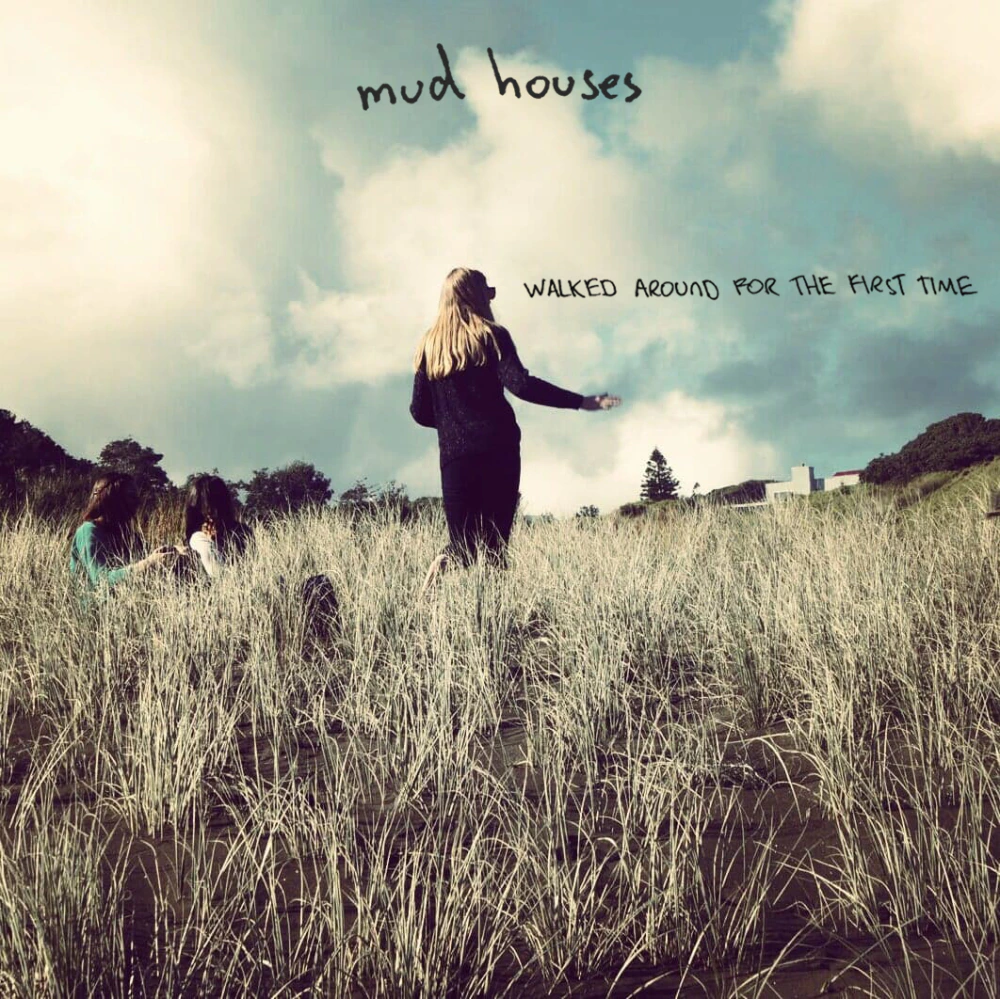 Mud Houses