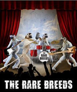 Luke Hallam & The RareBreeds