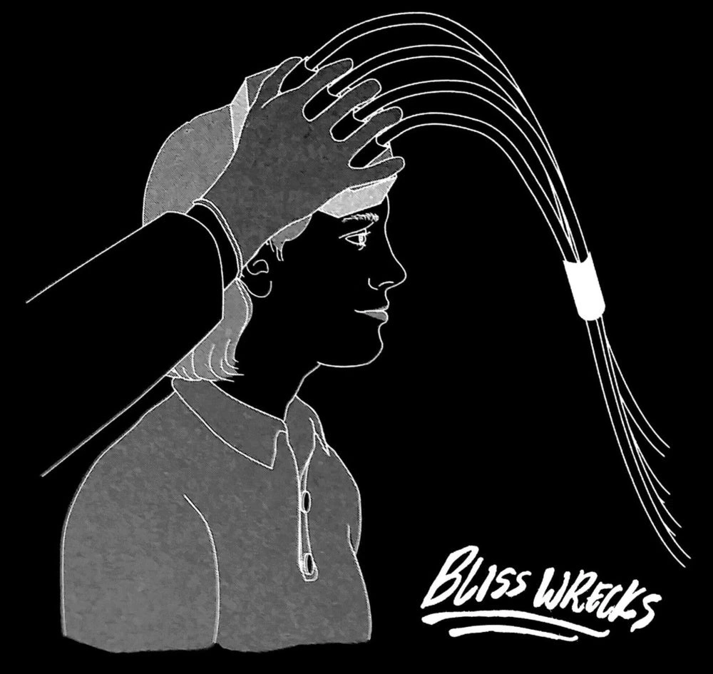 Bliss Wrecks