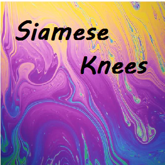 Siamese Knees