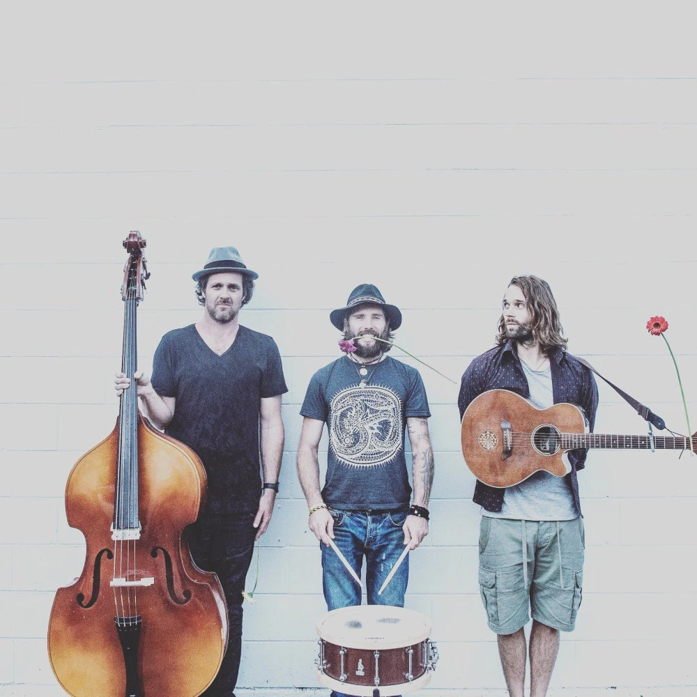 Mark Ridout & the Rhythm