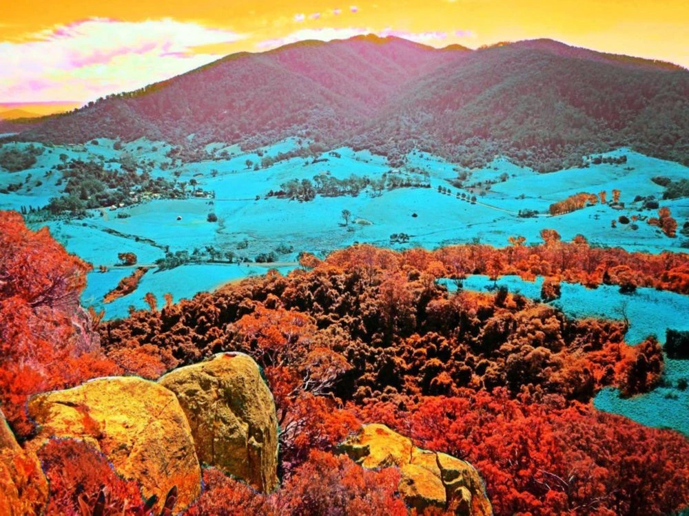 Gulaga