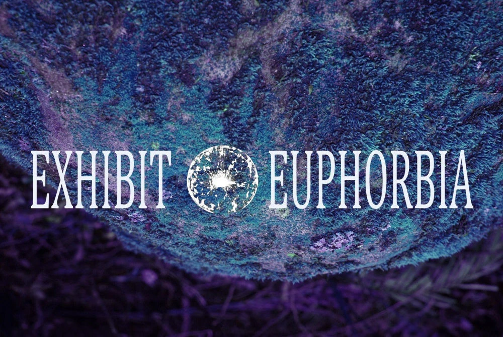 Exhibit Euphorbia