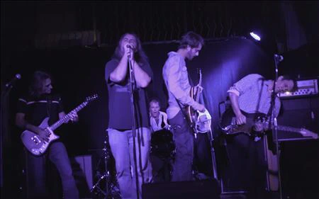 The Buzzrays